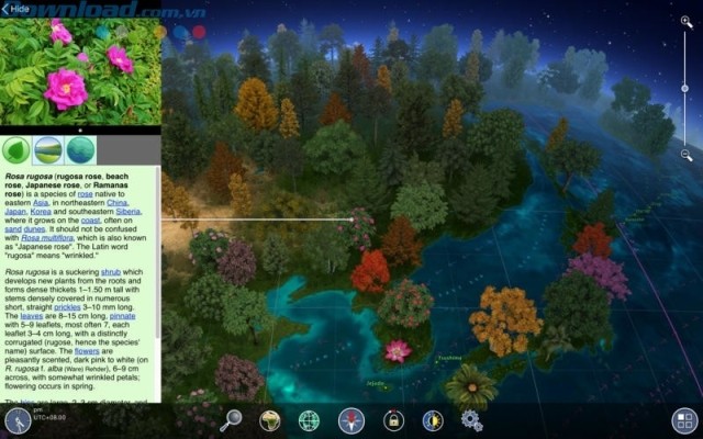 Bổ sung kiến thức về các loài thực vật