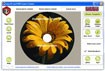 Easy CD and DVD Cover Creator 4.13 - Download & Review