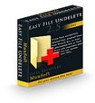 Easy FAT File Undelete - Data Recovery Software