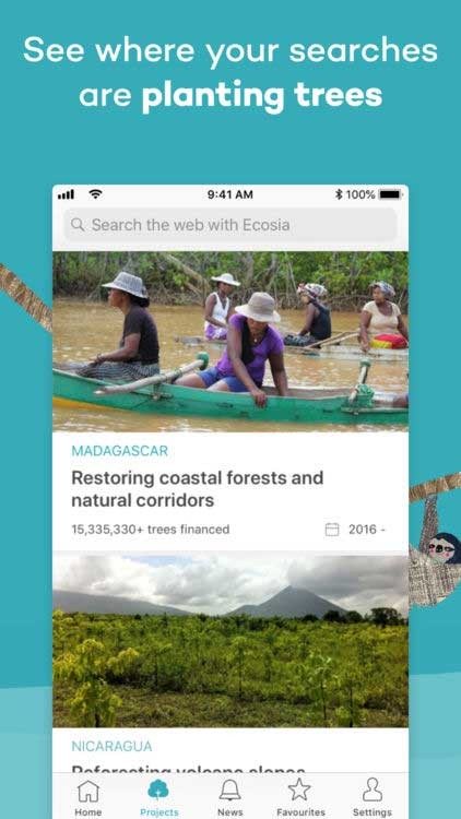 Trồng cây, gây rừng bằng cách lướt web với Ecosia