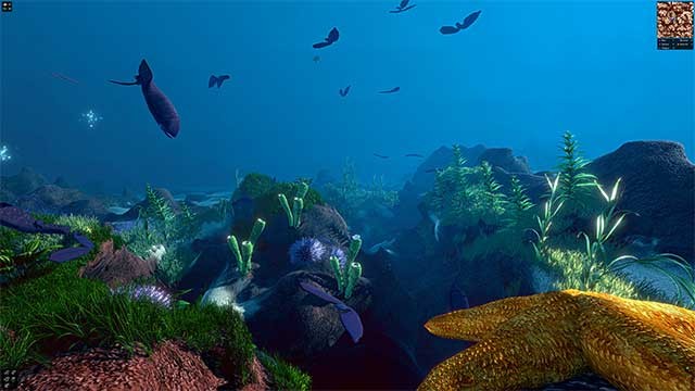 Nhiều loại quần thể sinh vật khác nhau cùng chung một môi trường