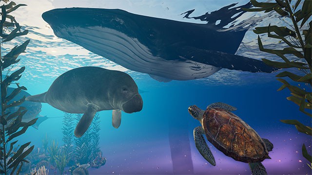 Lặn sâu xuống đại dương, vào hang động và nhiều khu vực khác để tìm tài nguyên, giải mã bí ẩn