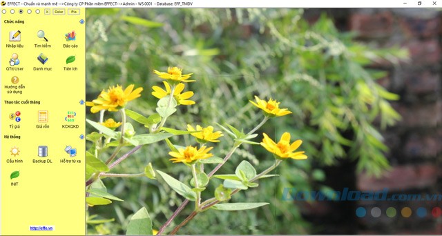 Giao diện EFFECT EFFE