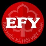 EFY-eBHXH: Hỗ trợ kê khai BHXH theo Quyết định 595/QĐ-BHXH