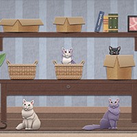 Einstein's Cats - Game Tư Duy Logic Thử Thách