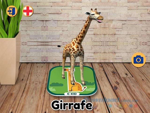 Tương tác con vật