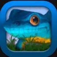 Electric Blue Gecko Dash - Pre-Order Game Phiêu Lưu Bảo Tồn Tắc Kè Xanh