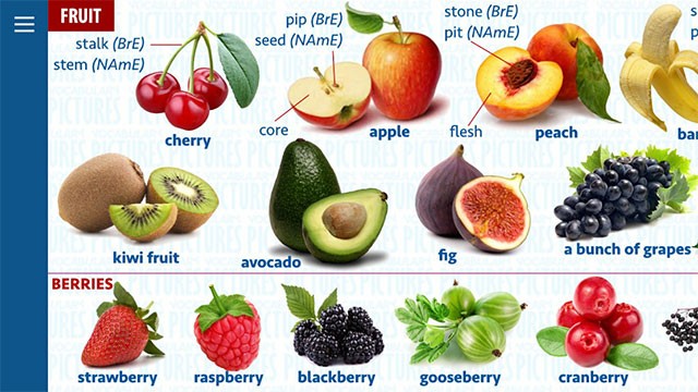 Chủ đề hoa quả trên English Vocabulary by Pictures cho Android