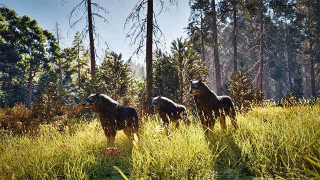 Trải nghiệm môi trường chơi chân thực và hùng vĩ