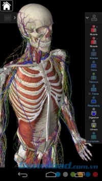 Ứng dụng giải phẫu Essential Anatomy 3 cho Android