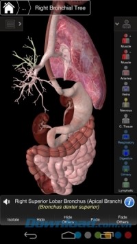 Essential Anatomy 3 cho Android minh họa chi tiết các cơ quan