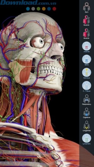 Giải phẫu cơ thể người chính xác, chi tiết
