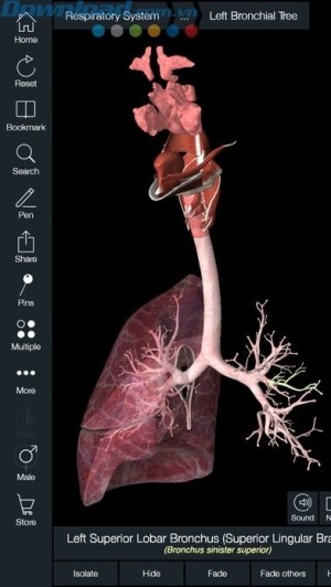 Xem chi tiết từng cơ quan