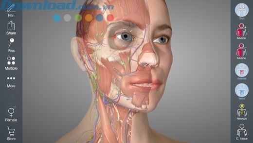 Xem chi tiết các nhóm cơ, xương và nhiều yếu tố khác