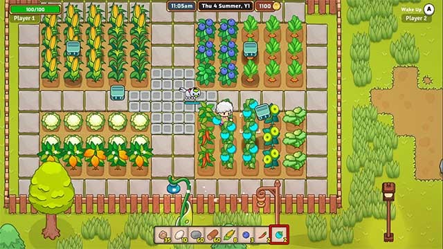 Trồng các loại cây và thu hoạch