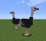 Exotic Birds Mod Minecraft: Thú Hóa Chim Độc Đáo