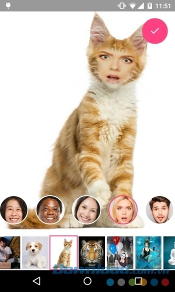 Ghép ảnh của bạn với bất kỳ đối tượng nào