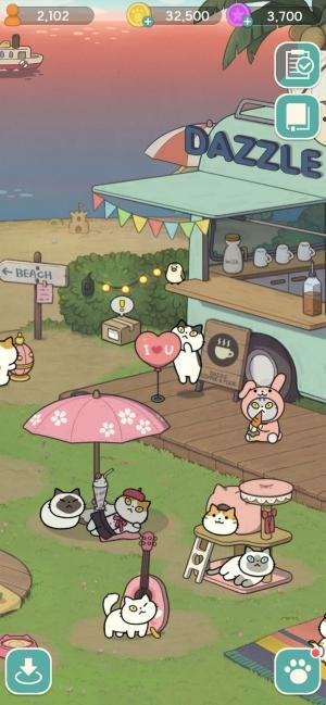 Thể hiện tình yêu thương mèo vô tận