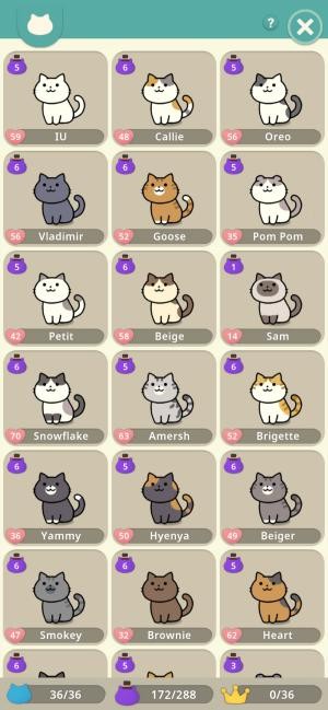 36 giống mèo cực quyến rũ