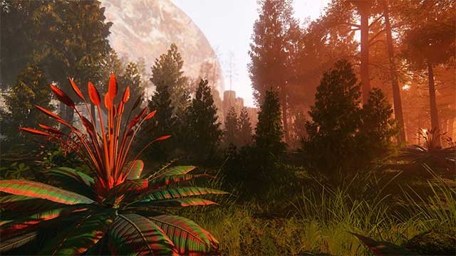 Bắt đầu cuộc phiêu lưu hoành tráng để tạo ra số phận của bạn