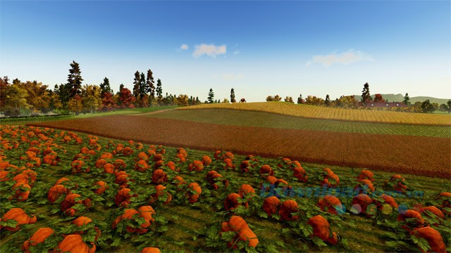 Trồng hoa màu, trái cây