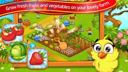 Trồng các loại rau và hoa quả tươi ngon