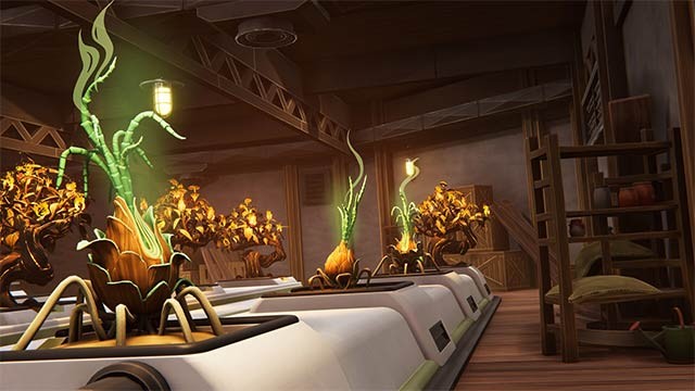 Trồng những giống cây đặc biệt và xem tác động mà chúng mang lại