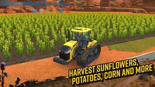 Trồng và thu hoạch 6 loại cây trồng khác nhau