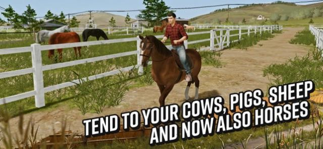 Chăn nuôi cừu, lợn, bò, ngựa... phục vụ các mục đích khác nhau