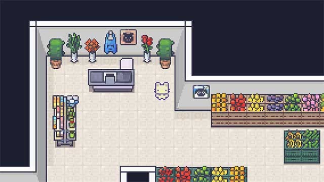 Thực hiện các hoạt động để thích nghi, sinh sống trên đảo