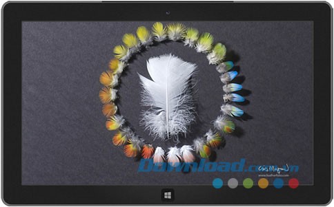 Feather Photos theme