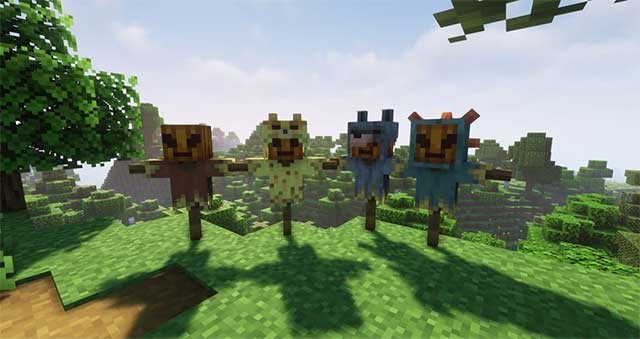 Bạn cũng có thể đặt bù nhìn ở bất kỳ đâu trên cánh đồng với mục đích trang trí