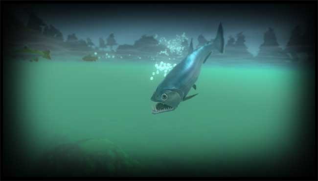 Feed and Grow có cá Payara