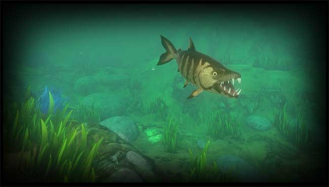 Cá hổ trong Feed and Grow