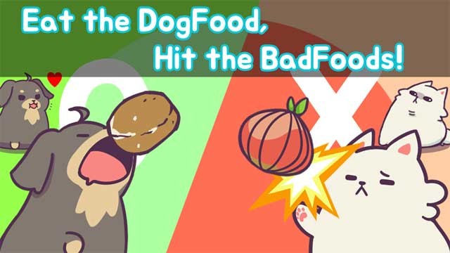 Giúp những chú chó ăn thực phẩm tốt và tránh những thực phẩm bẩn