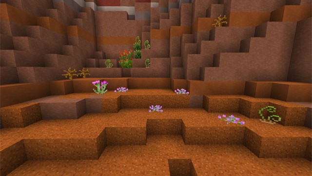 Hoa mọc ở nhiều biome khác nhau