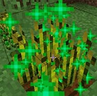 Fertilization Mod Minecraft: Tăng tốc độ farm với phân bón