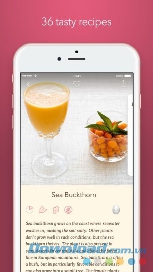Filibaba Smoothies cho iOS có 36 công thức