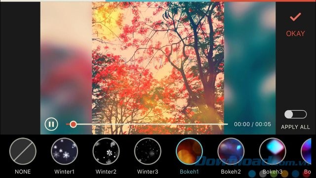 Hiệu ứng chồng hình