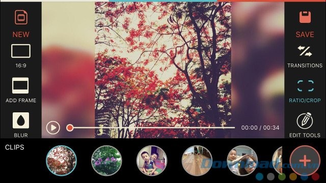 Cắt khung hình theo tỉ lệ