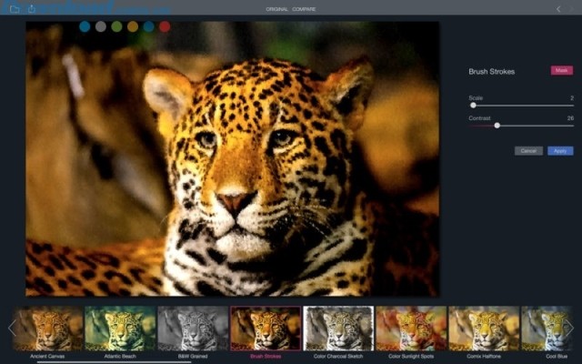 Hàng chục bộ lọc ảnh đa dạng