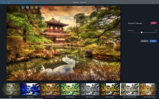 Chế độ xem trước trực tiếp