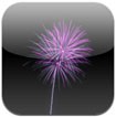 FireworksToy for iOS - Ứng dụng bắn pháo hoa trên iPhone