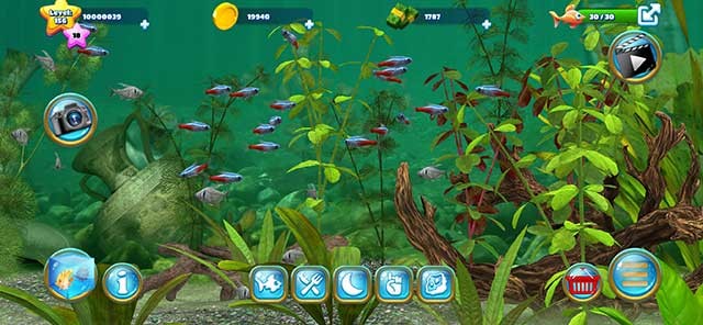 400 loài cá với đủ màu sắc sặc sỡ và được thiết kế 3D chân thực