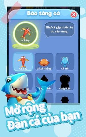 Phát triển đàn cá của bạn