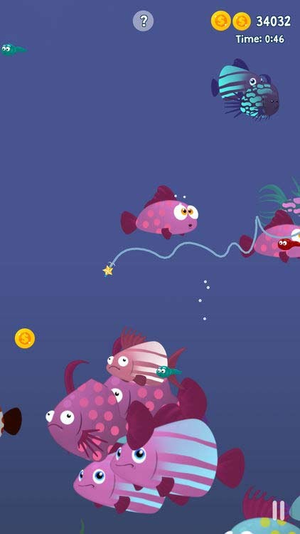 Những con cá to và quý hiếm sống ở tầng nước thấp