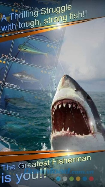 Đối đầu với những loài cá khủng của đại dương