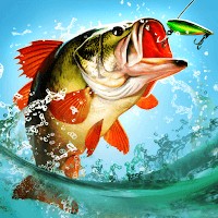 Fishing Master cho Android - Tải game câu cá chân thực, thư giãn