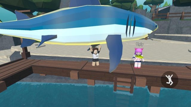 Câu hàng trăm loài cá độc đáo với nhiều cấp độ hiếm khác nhau