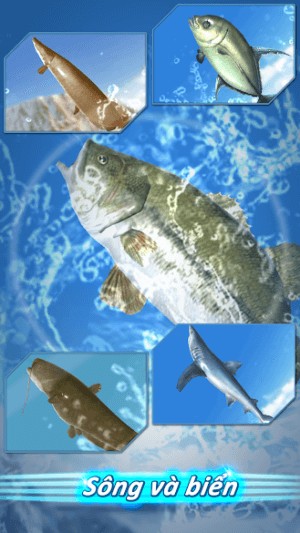 Câu cá từ sông ra biển